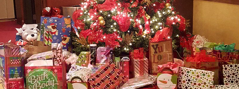 Tree at the Hard Rock